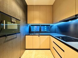 3 Cuscaden (D10), Apartment #457265131